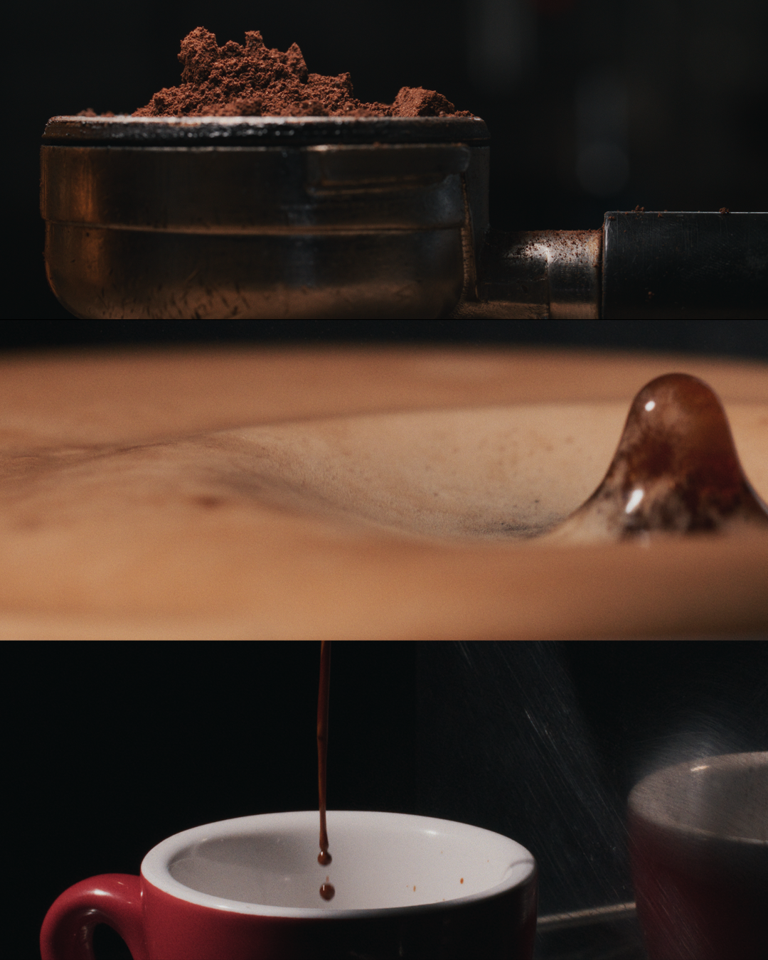 Swiss Water Decaf